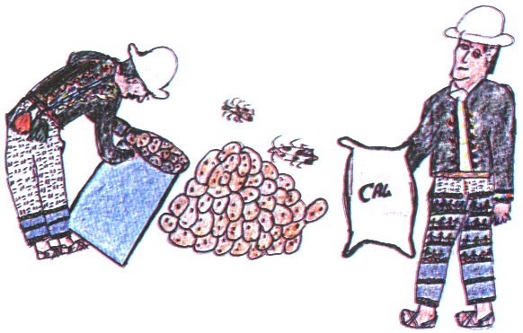 Cal papa alistando q