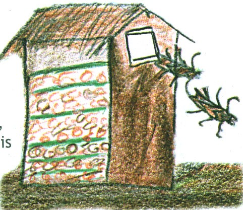 Eucalipto muña polilla q