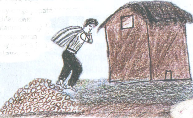 eucalipto muña  papa q