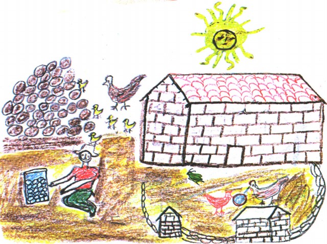 gallinas controlan q