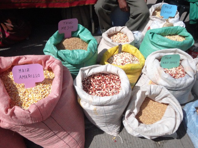 sso octava feria cbba 2