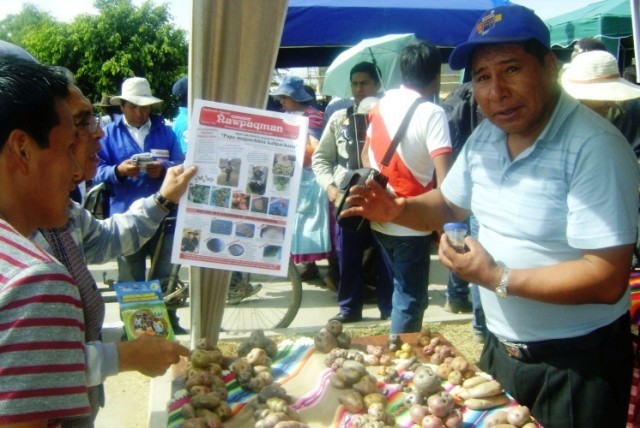 sso octavia feria cbba 4