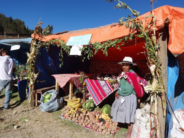 sysa feria paredones 21052015 1