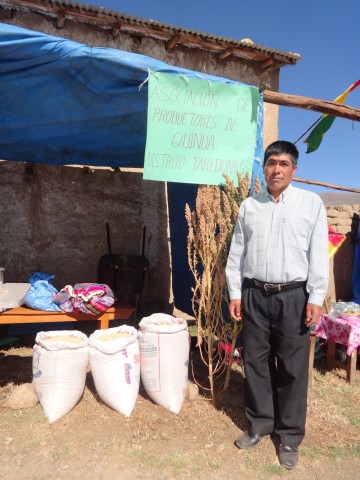 sysa feria paredones 21052015 2