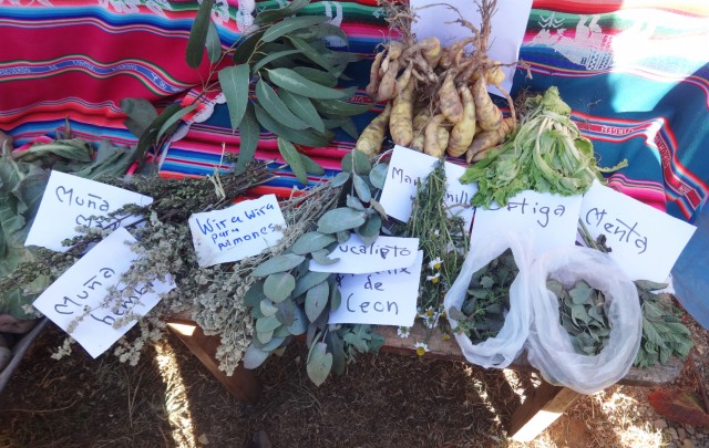 sysa feria paredones 21052015 4