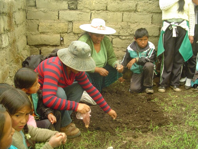 syso niños y niñas hortalizas gallinas 1