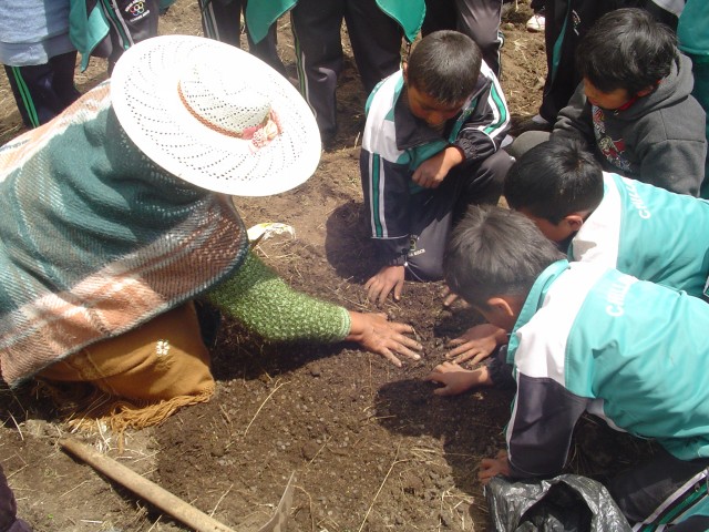 syso semilla fotoreportaje 11