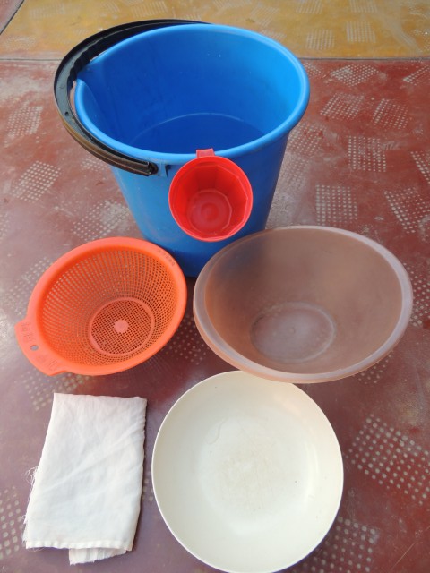 syso semilla fotoreportaje 4