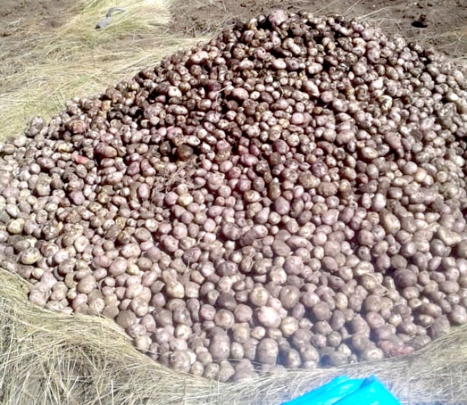 La Predicción Climática, una garantía para la Seguridad y Soberanía Alimentaria