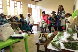 Comunarios y Comunarias de Chillavi recuperan conocimientos para el uso de plantas medicinales