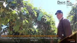 Yaku upyanapaq, puquchinapaq ima, mana pisimunanpaq jark’ana tiyan