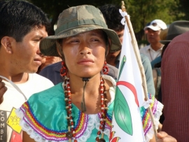 PRONUNCIAMIENTO PÚBLICO DE LA SUBCENTRAL DE MUJERES INDÍGENAS DEL TERRITORIO INDÍGENA PARQUE NACIONAL ISIBORO SÉCURE (TIPNIS)