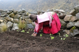Producción Agroecológica de Hortalizas: DIVERSIFICAR LA ALIMENTACIÓN