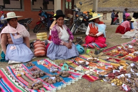 LA PAPA NATIVA ES HERENCIA DE NUESTROS ABUELOS