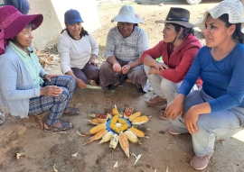 Biodiversidad de Maíz: Una garantía para la Seguridad y Soberanía Alimentaria