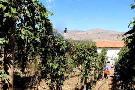 Pilancho: Riego por aspersión para administrar bien el agua