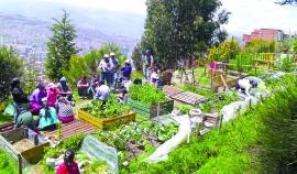 PROPUESTA: Estrategias de abastecimiento de alimentos en Bolivia en tiempos de COVID-19