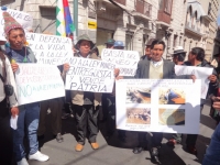 Ley Minera afecta a derechos colectivos y a la Madre Tierra