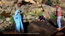 Wanuqa jallp'ata kallpachan