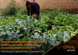 Sembrando Conocimiento,  Cosechando Seguridad y Soberanía Alimentaria