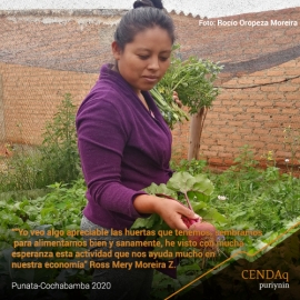 LOS HUERTOS FAMILIARES AGROECOLÓGICOS AYUDAN EN LA ECONOMÍA Y ALIMENTACIÓN SANA DE FAMILIAS EN LOS VALLES