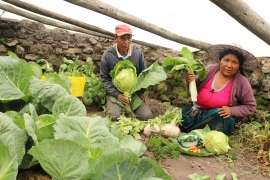 Cambio Climático: “Pachamamanchikta sumaq apayqachananchik tiyan...”
