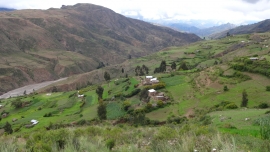 Horticultura: Comunidades de altura producen hortalizas