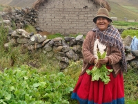 “Mikhunasninchikta kallpachana”