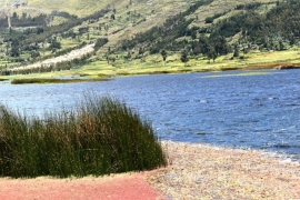 CONVOCATORIA: INVESTIGACIÓN DE TESIS DE GRADO "Manejo de cuencas y/o gestión colectiva de los recursos hídricos"