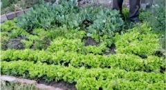 VIDEO Agroecología: 