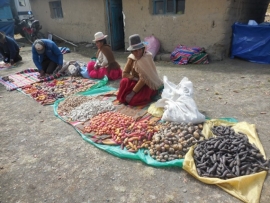Chillavi, Ayopaya: Feria de la Producción y la Biodiversidad