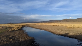 Minería: La contaminación minera devasta lo que queda del lago Poopó en Bolivia