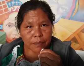 Aclaran que la sentencia del TIDN no afectará en los proyectos del TIPNIS