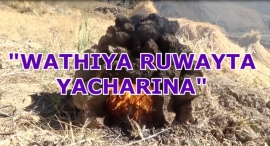 “WATHIYA RUWAYTA YACHARIKUNA”