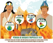 Editorial 182: Amazonía debe poner alto al Extractivismo