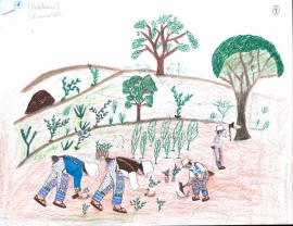 “Sach’akunaqa pachamamaqta p’achan”