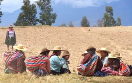 GÉNERO: Sólo tres de los 339 municipios invierten en equidad de género