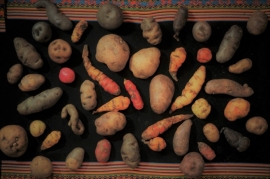 2000 razones para cambiar abono