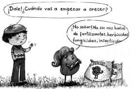 Detrás de cada alimento hay una historia, un camino recorrido, que no vemos…