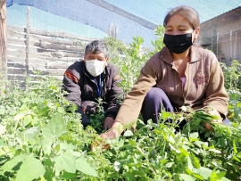 MUJERES DE LOS VALLES DE COCHABAMBA GARANTIZAN LA SEGURIDAD ALIMENTARIA DE SUS FAMILIAS