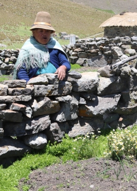 La Ley N° 369: Ley General de las personas adultas mayores