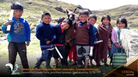 Añaskitu: Wawakunaq kawsaynin