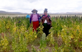 Encuentro Regional: ¡DEFENDER LAS SEMILLAS ES DE VIDA O MUERTE!