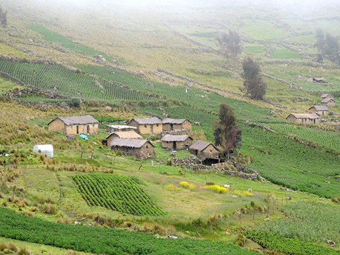 PRONUNCIAMIENTO: “Por la defensa de la salud desarrollemos la Agroecología” - M.A.B