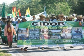 CIDOB ORGÁNICO: COMUNICADO AL PUEBLO BOLIVIANO