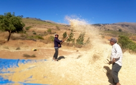 POCOATA “LUGARCITO DEL AGUA”, DONDE AGRADECEMOS A DIOS POR LA BUENA COSECHA