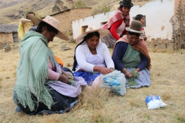 ¿Cómo se hace el biol y qué se necesita? experiencia de la organización de mujeres