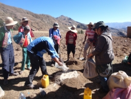 Mejorar la fertilidad de los suelos es un trabajo familiar