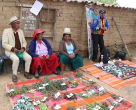 Yachayninchikta kallpachana: Yachaykunata uqharikapuna CÑ 181