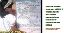 2º Conversatorio: Lecciones del Coronavirus &quot;Existen otras modalidades de educación, la radio y televisión&quot;